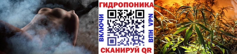 Конопля White Widow  Купить закладки  Зеленоградск 